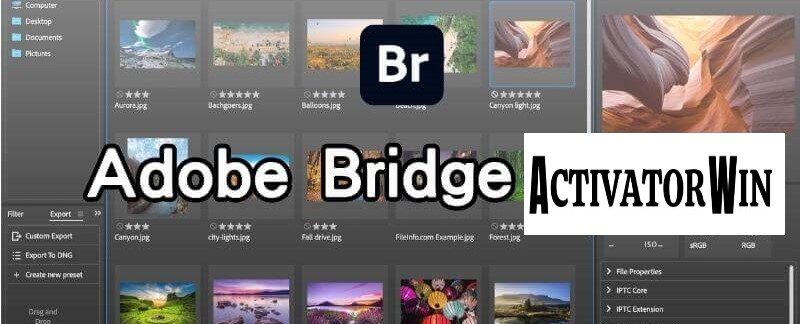 Adobe Bridge CC 14.0.0 Crack + Keygen Full Download